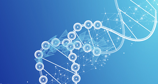 尊龙凯时-人生就是搏中国官方网站